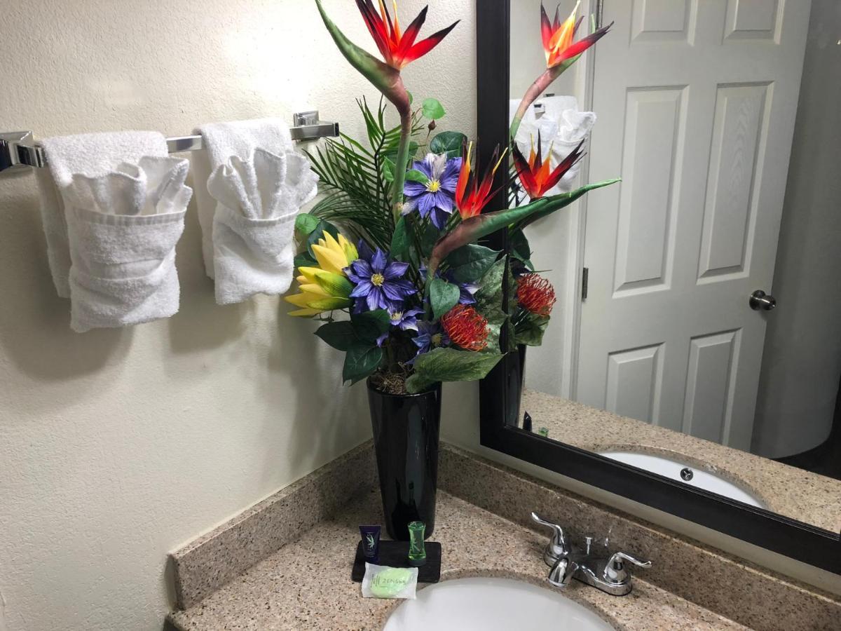 Magnolia Inn Extended Stay Of Kingsland - New 2024 - Book A Kitchen Room - 12 Noon Check Out - Sleep In Late - Better Sleep - Ultra Sparkling - Pool Open Until Until 4Am - Stay And Save Today - 24 Hour Front Desk - Premium Coffee Bar - Award Winning Exterior photo